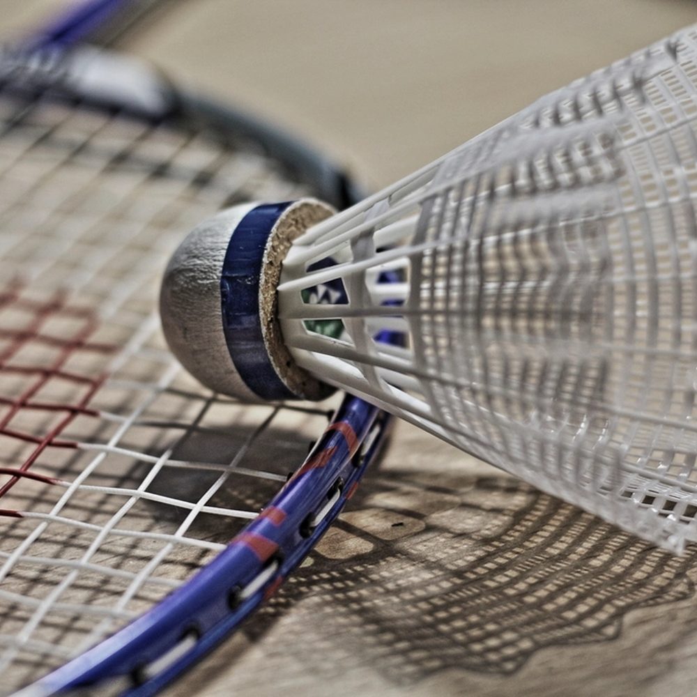 Wilson Control Racket, Senior